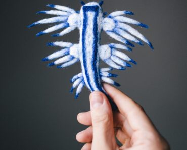 Dive into the vibrant world of felt nudibranchs at the Wool Biolab—huge