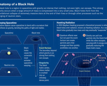 Do prime numbers hide inside black holes?