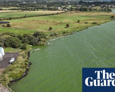 ‘Drinking from a fetid pond’: Superbug-creating genes found in UK’s largest lake | Water