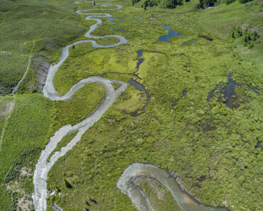 Drought paradox study reveals plants around Colorado River turn to groundwater when it gets too hot and dry, reducing flow into already strained basin