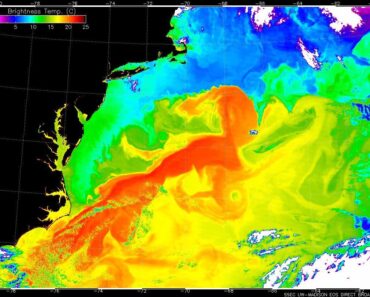 Early warning signal hidden in the Gulf Stream can signal AMOC collapse, the study finds