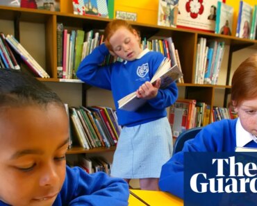 England schools ditch costumes for World Book Day, MPs hear | Literacy
