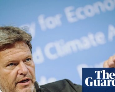 Everything is a political weapon since Trump’s re-election, says Germany’s former economy minister | Germany