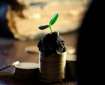 Expeditors International of Washington ( EXPD ) had its price target raised to $135