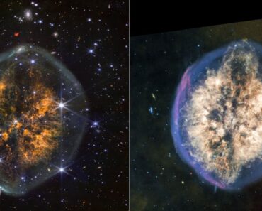 ‘Exposed Cranium’ leaks its gory secrets in new James Webb Telescope images: space photo of the week