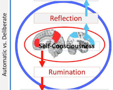 Extracting reliable neurobiological biomarkers for complex subjective experiences is not easy