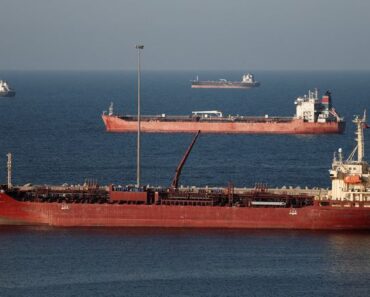 Extraordinary IEA announcement not enough to lower oil prices | Money news