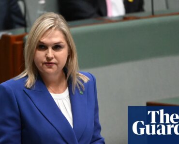Former liberal deputy says the party must introduce gender quotas to start winning elections | australian news