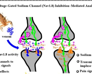 From molecular targets, peptide chemistry to clinical translation From molecular targets, peptide chemistry to clinical translation
