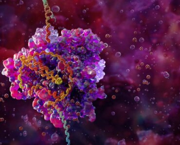 Gene editing that spreads in the body can cure several diseases Gene editing that spreads in the body can cure several diseases