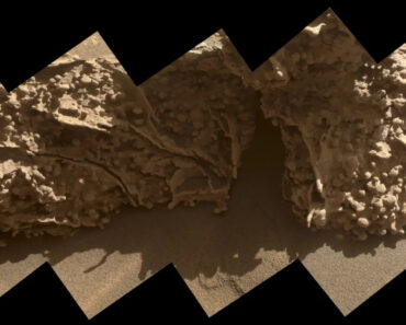 Giant ‘spider webs’ on Mars contain tiny egg-like structures that scientists ‘can’t quite explain,’ NASA rover reveals Giant ‘spider webs’ on Mars contain tiny egg-like structures that scientists ‘can’t quite explain,’ NASA rover reveals