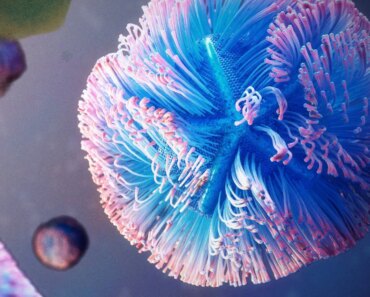 Giant viruses may be more alive than we thought