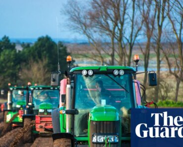 Global food supply could be severely affected if war with Iran drags on, says fertilizer chief | War between the United States and Israel against Iran Global food supply could be severely affected if war with Iran drags on, says fertilizer chief | War between the United States and Israel against Iran