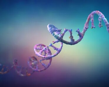 Groundbreaking gene therapy could treat a deadly seizure disorder