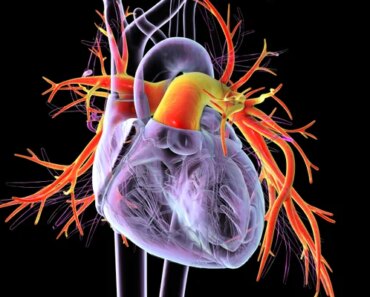 Heart disease in young women is estimated to increase sharply by 2050 Heart disease in young women is estimated to increase sharply by 2050