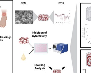 Heparin-incorporated whey protein isolate-derived hydrogels with an intended dual function as snakebite wound dressings and drug delivery systems inhibit salivary cobra venom-induced cytotoxicity