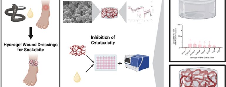 Heparin-incorporated whey protein isolate-derived hydrogels with an intended dual function as snakebite wound dressings and drug delivery systems inhibit salivary cobra venom-induced cytotoxicity