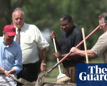 How a pile of moss helped convict grave robbers in Illinois | Science