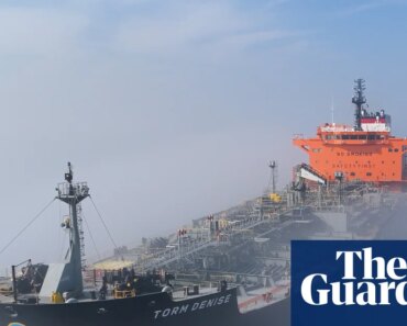 How far could oil go and what could be the global economic consequences? | economic sciences