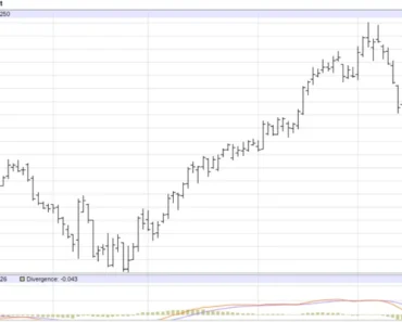 How low will Lyn Hog ​​prices go here?