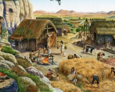 Human populations evolved in similar ways after we started farming