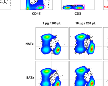 Immunogenicity of two representative American consensus scorpion neurotoxins from the genera Tityus and Centruroides
