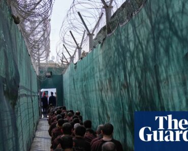 Iraqi official urges Australia to recover suspected IS fighters during meeting with ambassador | australian news