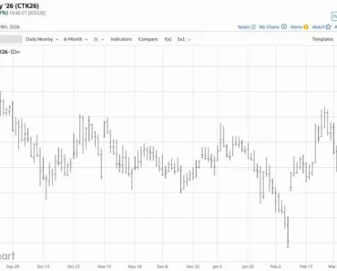 Is cotton preparing to rise?