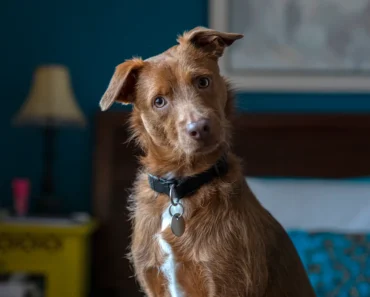 Is there such a thing?