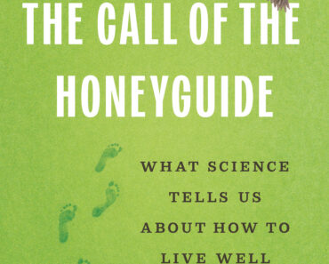 ‘Parasites in human societies’: How did we end up so close to cats?