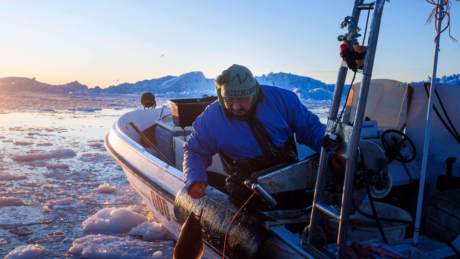 ‘It’s too warm’: Greenland’s fishermen at risk from climate change