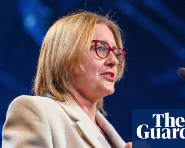 Jacinta Allan says planned work from home law would affect all Victorian businesses | victorian politics