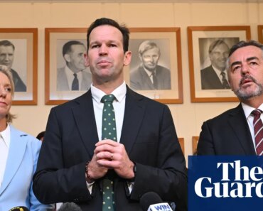 Matt Canavan elected new Nationals leader and calls for ‘more Australian babies, more Australian everything’ | national party
