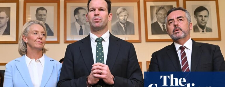 Matt Canavan elected new Nationals leader and calls for ‘more Australian babies, more Australian everything’ | national party