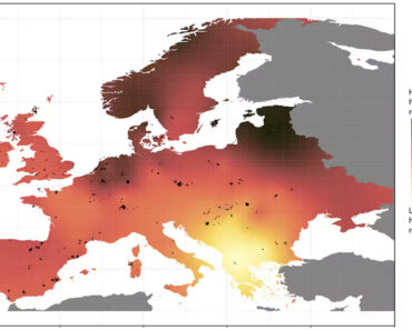 ‘More advanced’ farming women married hunter-gatherer men in Europe thousands of years ago, ancient DNA reveals