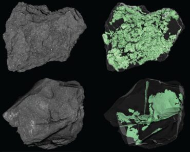 NASA peeks into today’s asteroid image for March 19, 2026