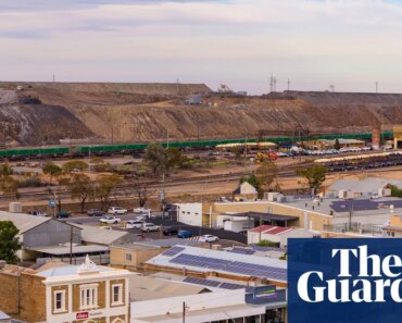 NSW Health continues to use a machine known to produce inaccurate results to test children’s blood lead levels | Health