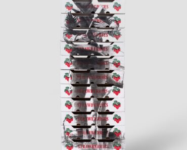 Narciso Martinez highlights American agricultural workers in ‘Cardboard and Gold’ – Huge