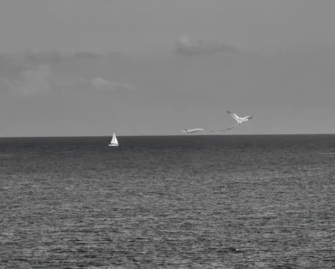 Natasha Antipova-Kaploukhaya: Art Criticism – AATONAU