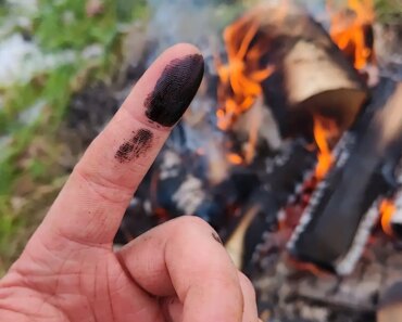 Neanderthals may have treated wounds with antibiotic sticky tar