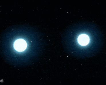 Neutron star mergers hiding in a mini-galaxy may answer two major astrophysical questions Neutron star mergers hiding in a mini-galaxy may answer two major astrophysical questions