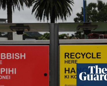 New Zealand coalition votes to make English an official language as critics slam ‘cynical’ bill | New Zealand politics