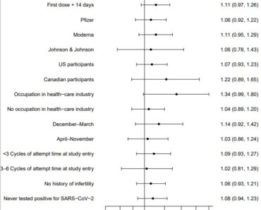 No, covid-19 vaccines do not cause infertility – maybe not to get it