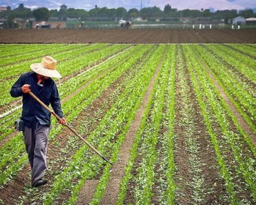 Nutrien Ltd. (NTR): Bell case theory