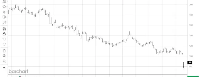 Ocean Limited stock is now selling deeply. Should you buy the dip?
