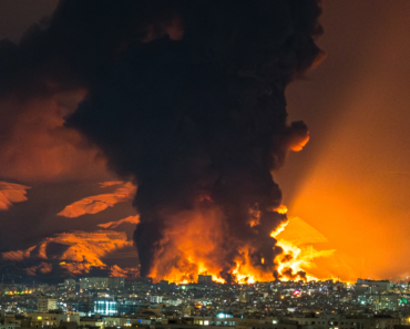 Oil shock, nuclear doubt, hail driven by climate change and new insights into the connection between the aging gut and brain