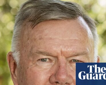 One Nation candidate contesting Sussan Ley’s seat compared Julia Gillard to a ‘non-productive old cow’ | a nation