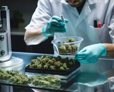 Organigram Global Inc. (OGI) Sees C$4 Target on Improved Outlook