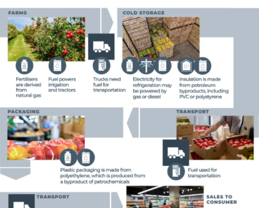 Pakistan orders sweeping austerity measures as Iran war triggers oil crisis | Oil and gas news