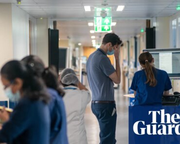 Palantir contract with NHS England ‘opens the door to abuse of government power’, health chiefs said | Palantir